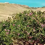 La Valle Degli Dei *