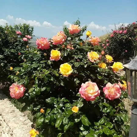 La Valle Degli Dei Appartement